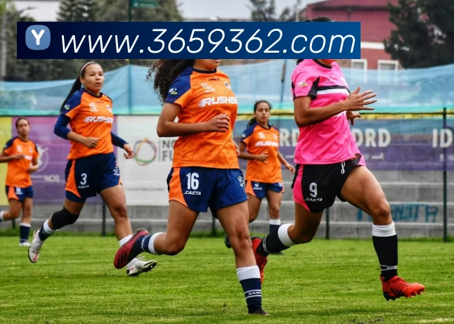 bet365全站App bet365全站App
